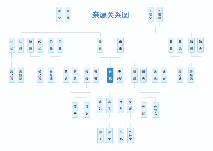 亲属关系图