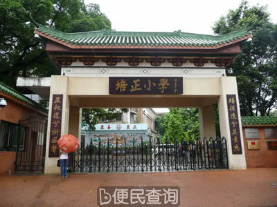 香港教育司宣布实施免费小学教育