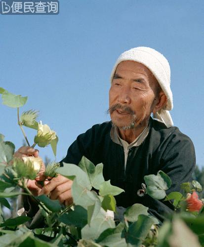 全国劳动模范吴吉昌逝世