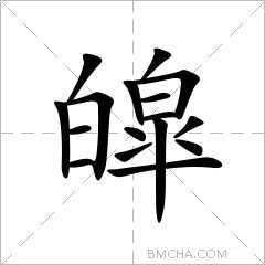 皡